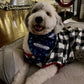 SurfPups Bandana