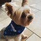 SurfPups Bandana