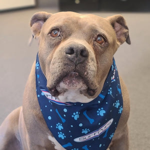 SurfPups Bandana