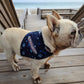 SurfPups Bandana